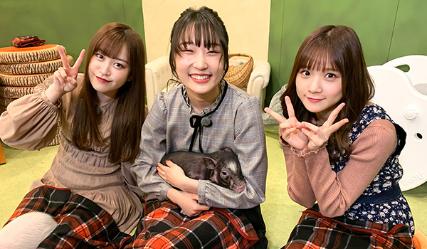 ハロプロダンス学園 課外活動