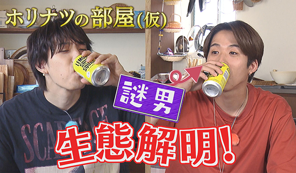 ホリナツのカンムリ(仮)