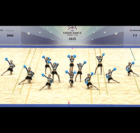 Feature Program