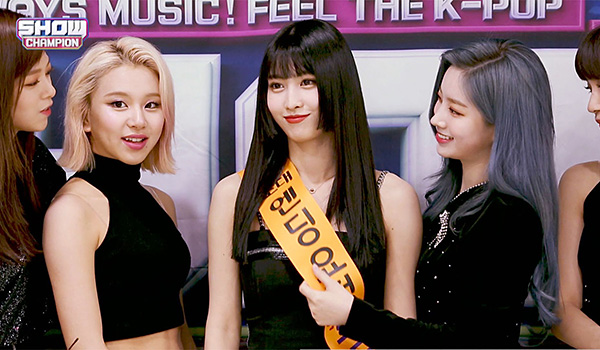 SHOW CHAMPION