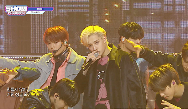 SHOW CHAMPION