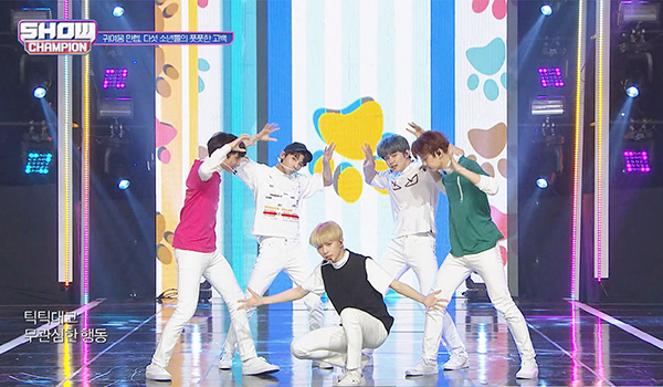 SHOW CHAMPION