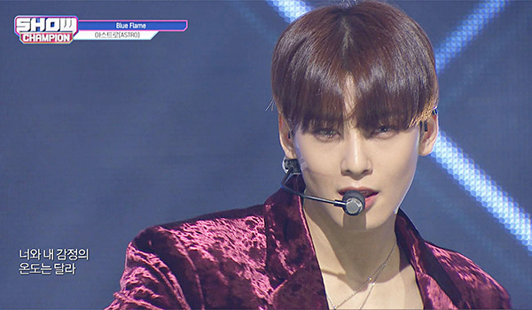 SHOW CHAMPION