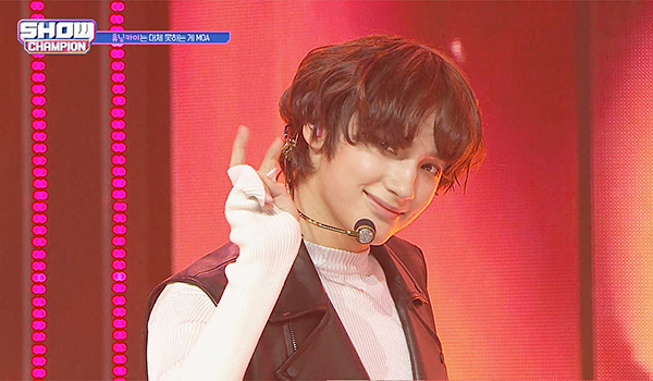 SHOW CHAMPION