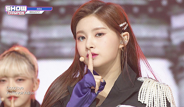 SHOW CHAMPION