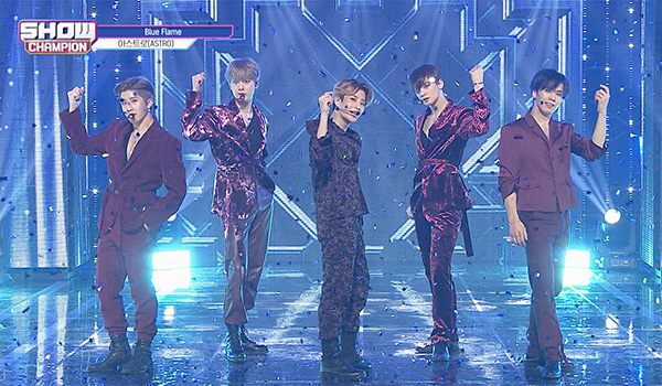 SHOW CHAMPION