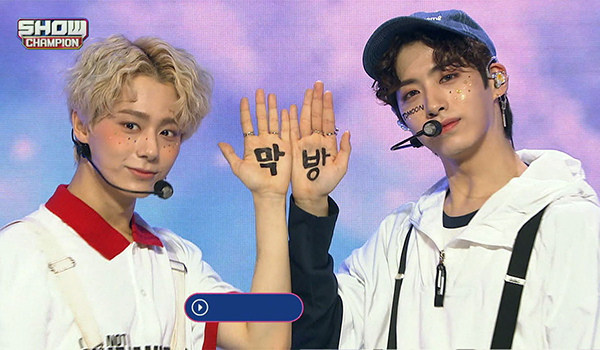 SHOW CHAMPION