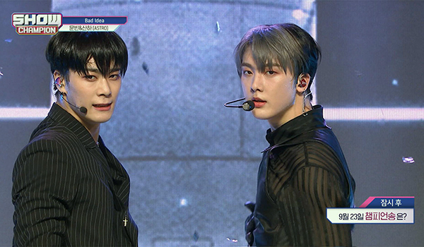 SHOW CHAMPION