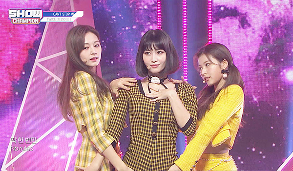 SHOW CHAMPION