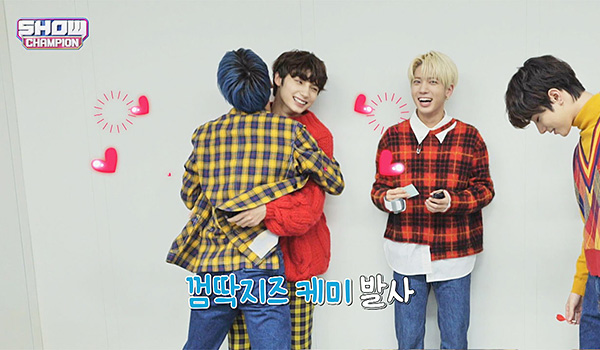 SHOW CHAMPION