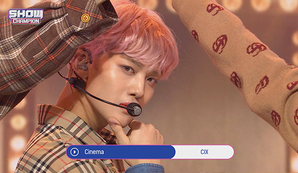 SHOW CHAMPION