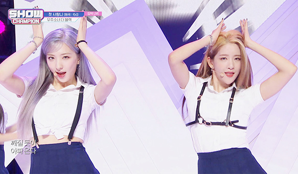 SHOW CHAMPION