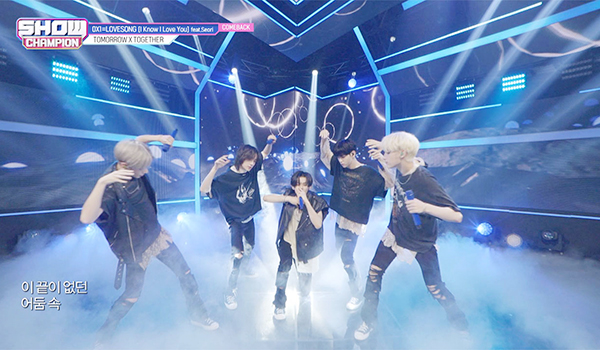 SHOW CHAMPION
