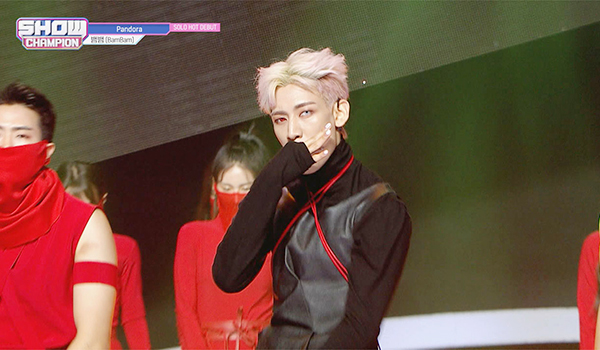 SHOW CHAMPION