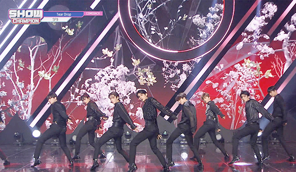 SHOW CHAMPION