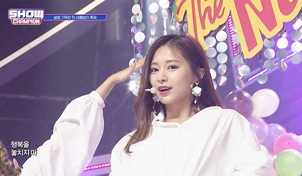 SHOW CHAMPION