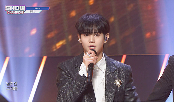 SHOW CHAMPION
