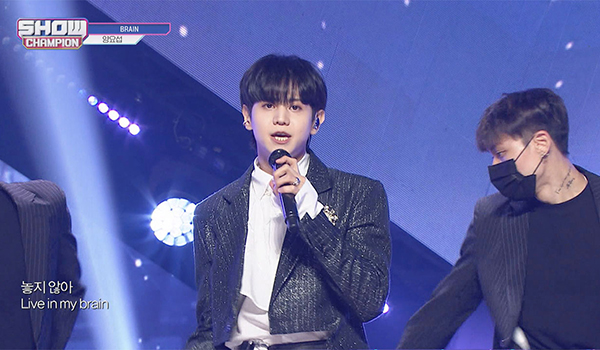 SHOW CHAMPION