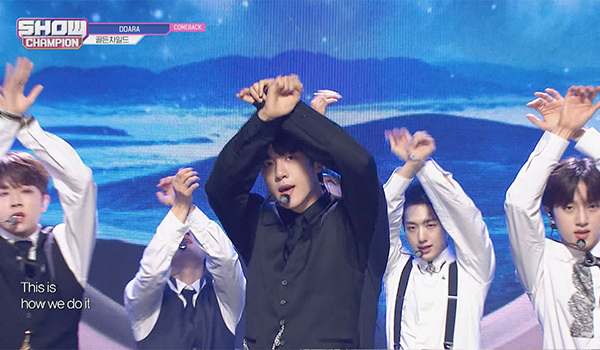 SHOW CHAMPION