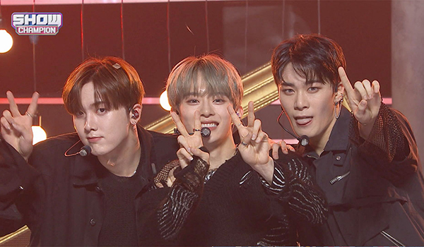 SHOW CHAMPION