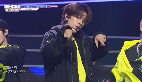 SHOW CHAMPION