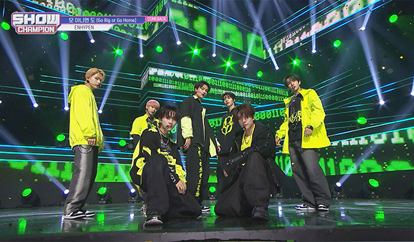 SHOW CHAMPION