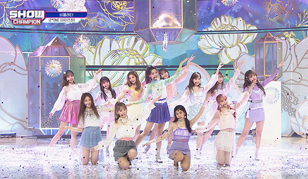 SHOW CHAMPION