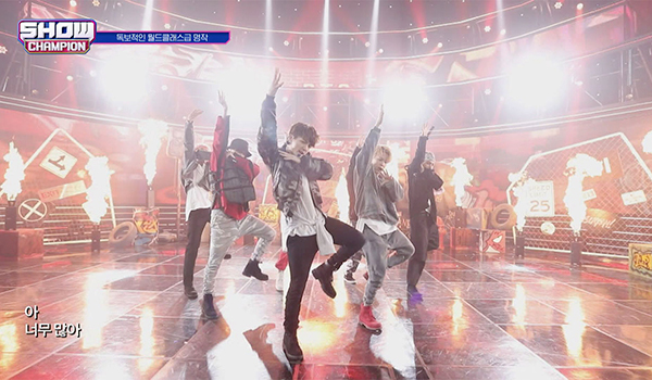 SHOW CHAMPION