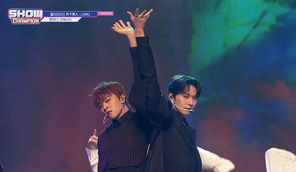 SHOW CHAMPION