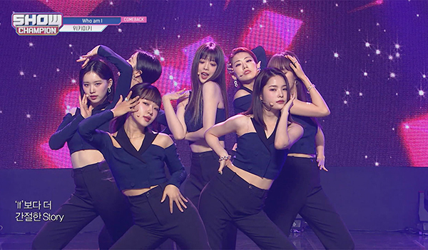 SHOW CHAMPION