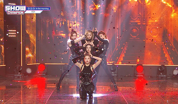 SHOW CHAMPION