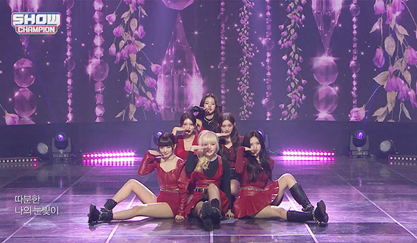 SHOW CHAMPION