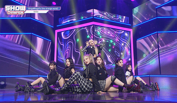 SHOW CHAMPION