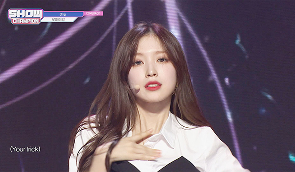 SHOW CHAMPION