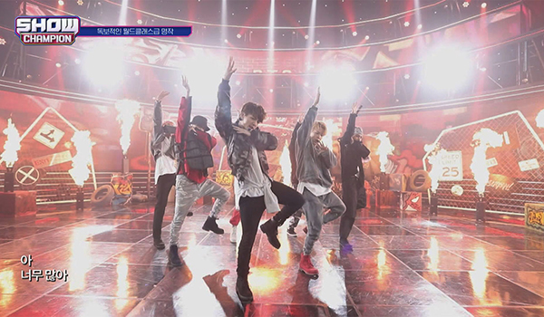 SHOW CHAMPION