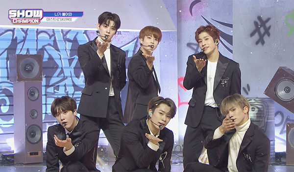 SHOW CHAMPION
