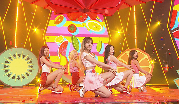 SHOW CHAMPION