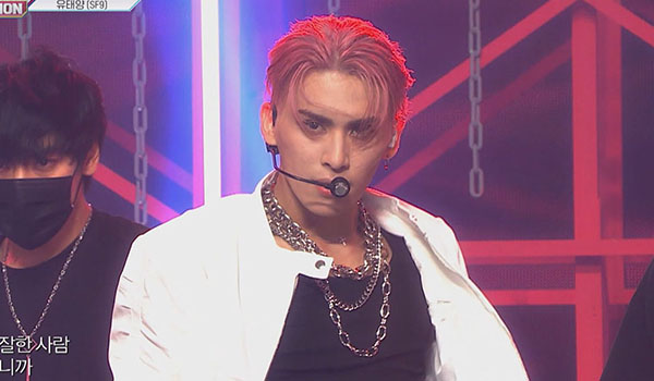 SHOW CHAMPION