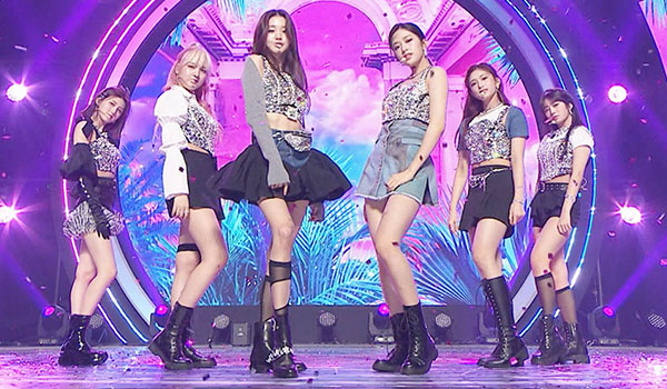 SHOW CHAMPION