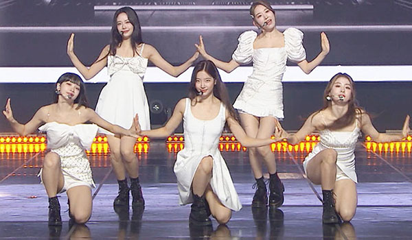 SHOW CHAMPION