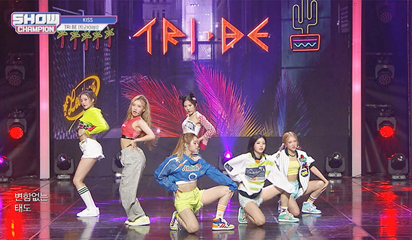 SHOW CHAMPION