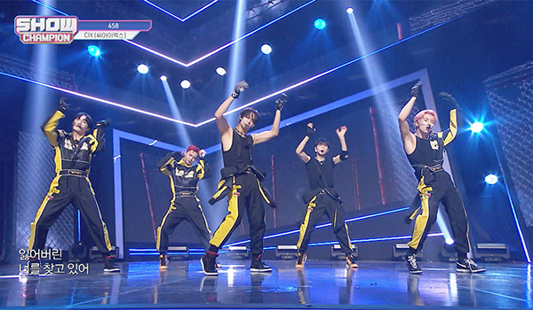 SHOW CHAMPION